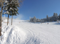 Ski areál Hartman - Olešnice v O. h.