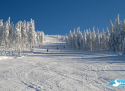 Ski areál Horní Domky - Rokytnice nad Jizerou