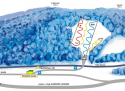 Ski areál Ski Centrum OAZA – Loučna nad Desnou  - mapa areálu