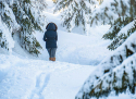 Sjezdovka SKI&SUN Świeradów Zdrój