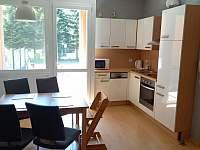 Apartmán No. 111