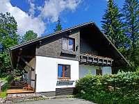 Apartmán 81