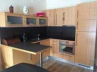 Apartmán  Lipno 50