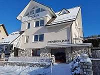 Pension Jana - wellness